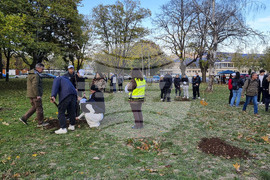 Враца - алея на будителите