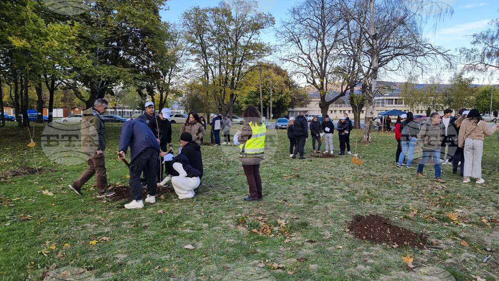 Враца - алея на будителите
