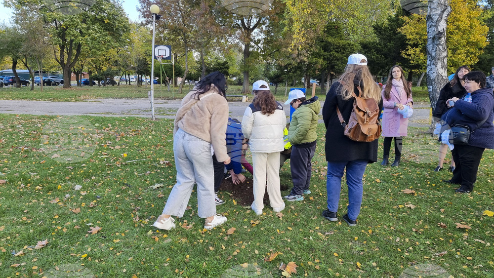 Враца - алея на будителите