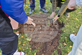 Враца - алея на будителите