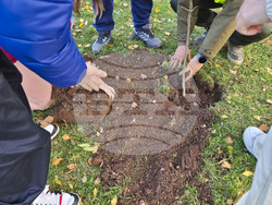Враца - алея на будителите