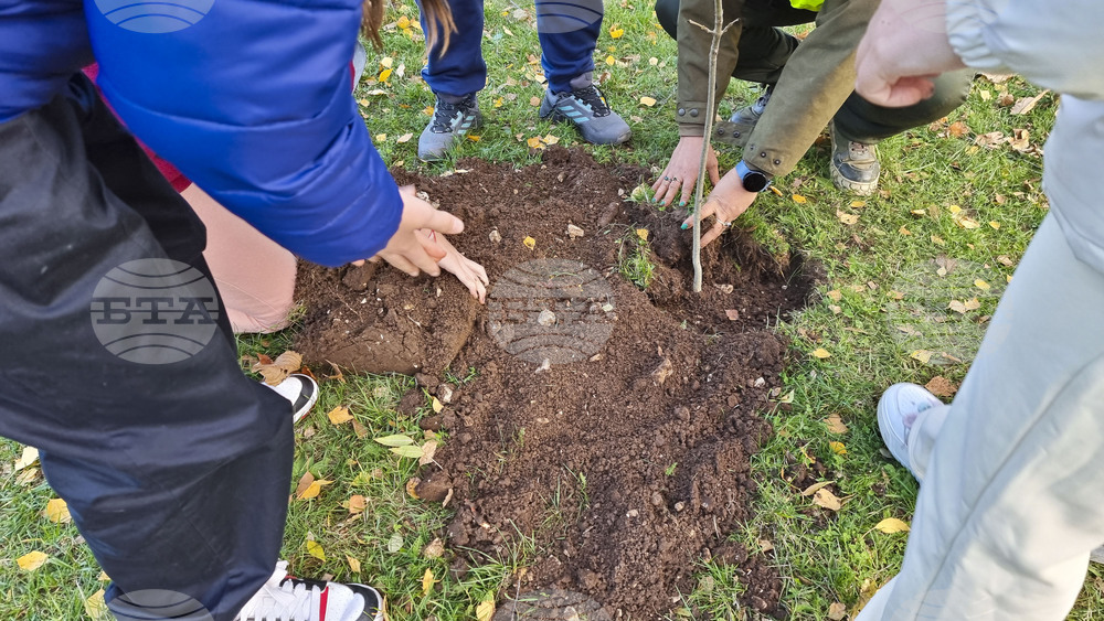 Враца - алея на будителите