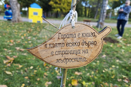 Враца - алея на будителите