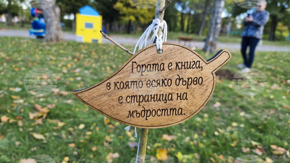 Враца - алея на будителите