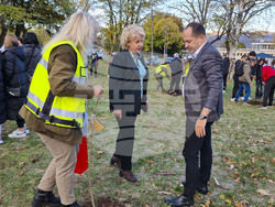 Враца - алея на будителите