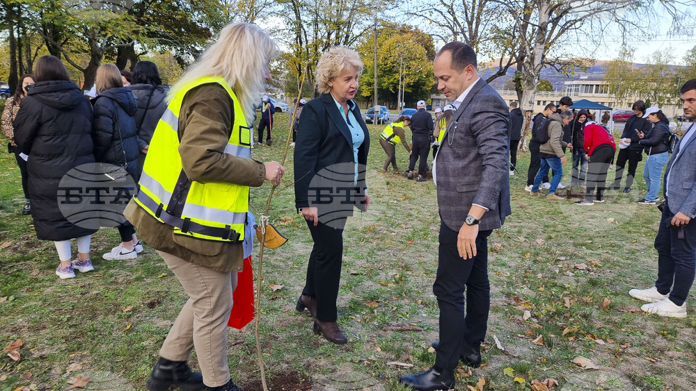 Враца - алея на будителите