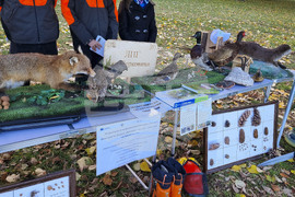 Враца - алея на будителите