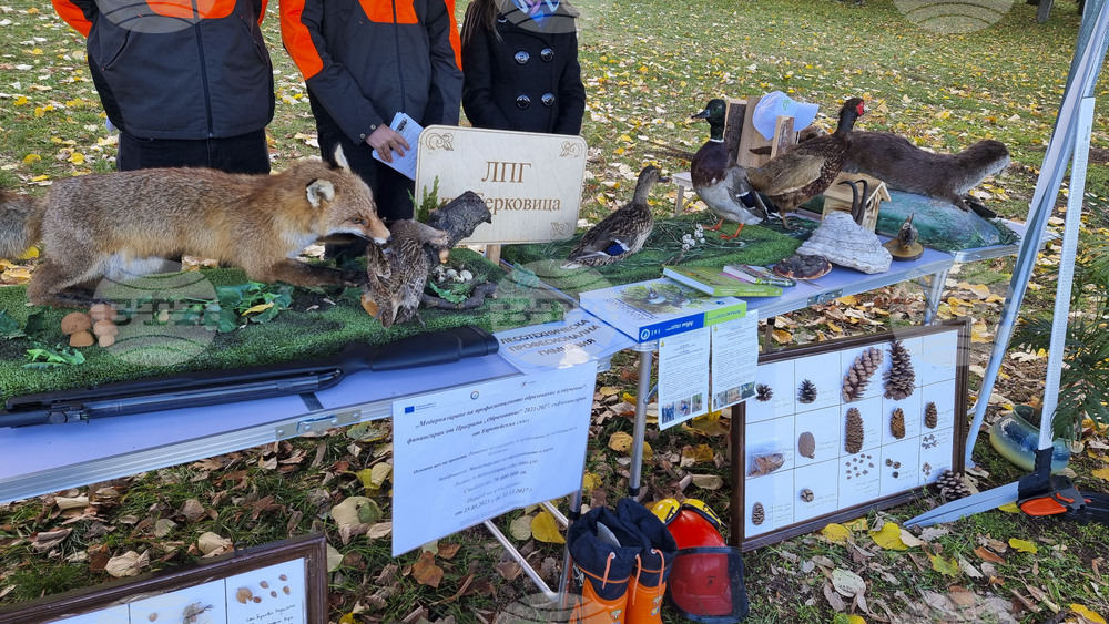 Враца - алея на будителите