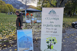 Враца - алея на будителите