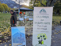 Враца - алея на будителите