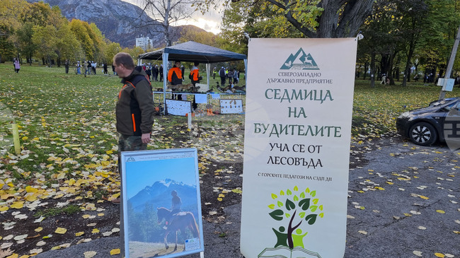 Враца - алея на будителите