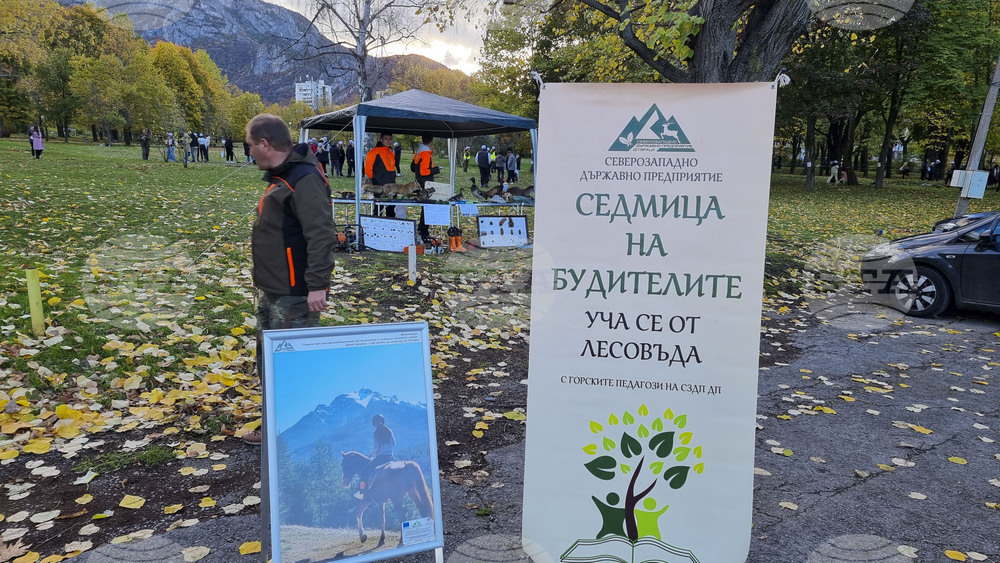 Враца - алея на будителите