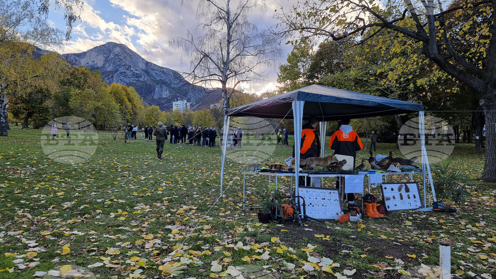 Враца - алея на будителите