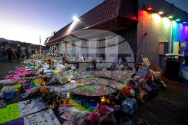 Gun Industry-Liability Laws