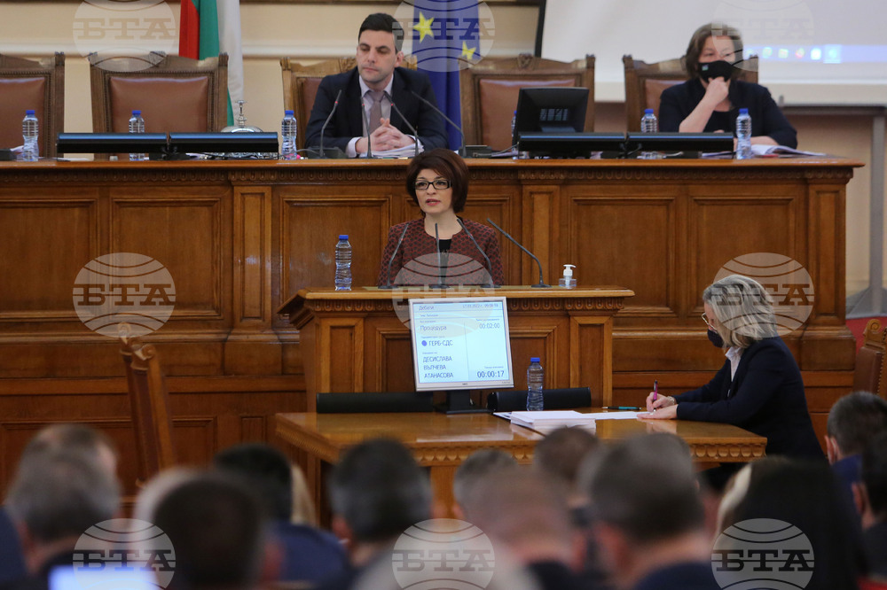 Парламент - заседание - Десислава Атанасова