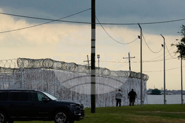 Immigration Louisiana