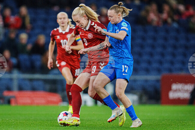 Denmark Finland Women Soccer