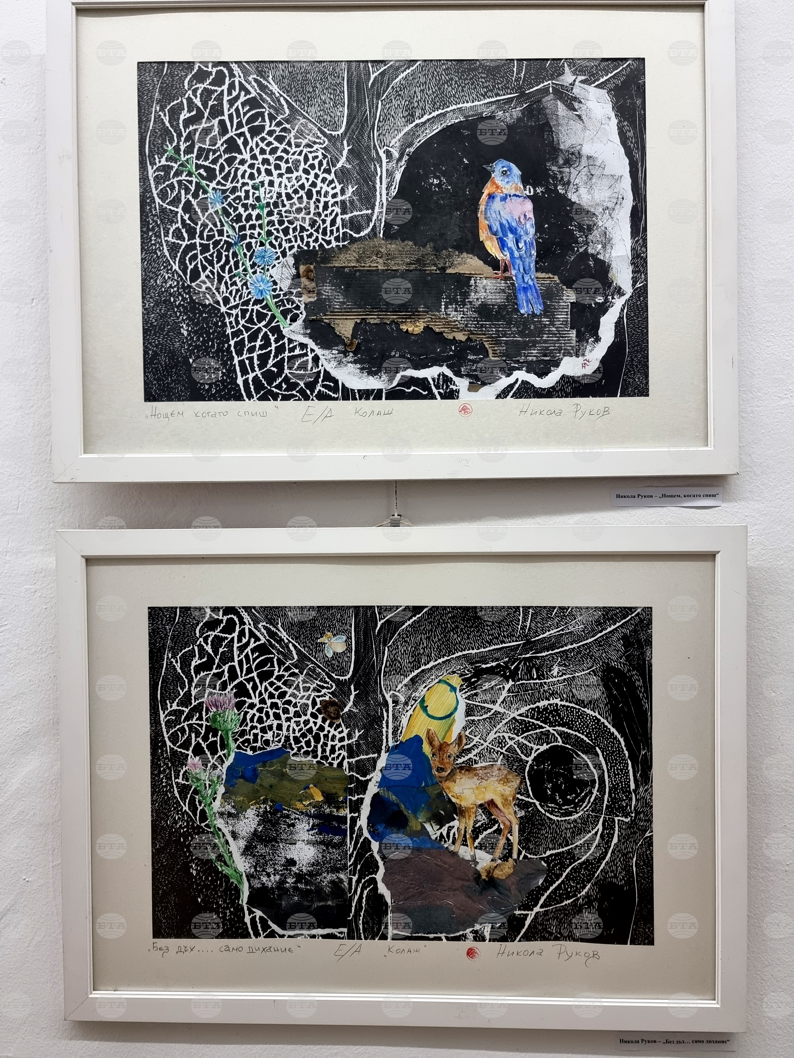 Монтана - „Аз тъкмо свободата си развързах“ - изложба