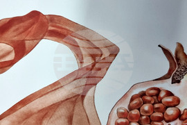 Монтана - „Аз тъкмо свободата си развързах“ - изложба