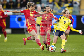 Sweden Soccer Women's Nations League