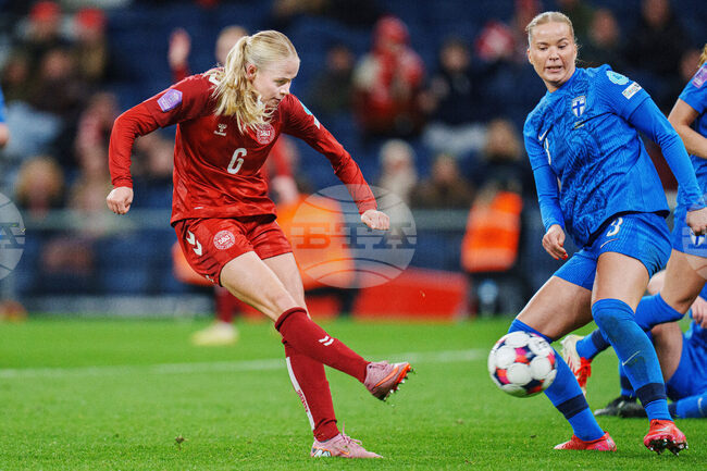 Denmark Finland Soccer