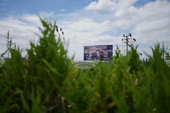 Argentina Milei Election