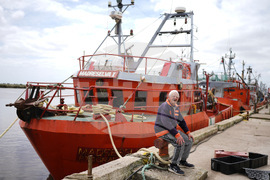 Argentina Milei Election