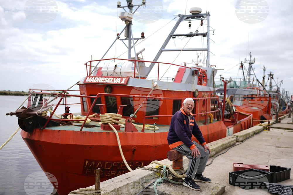 Argentina Milei Election
