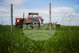 Argentina Milei Election