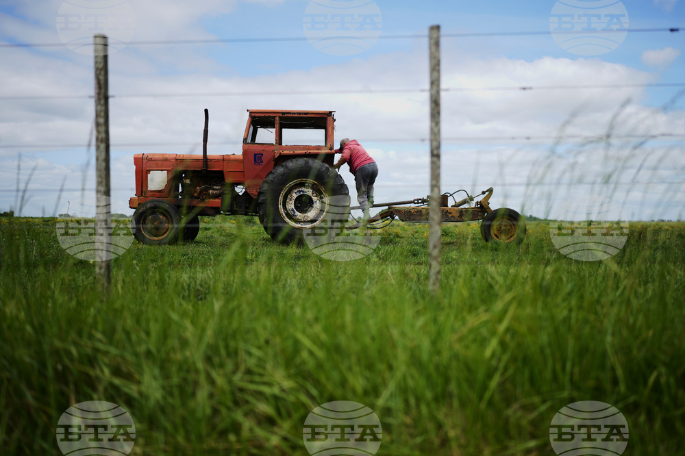 Argentina Milei Election