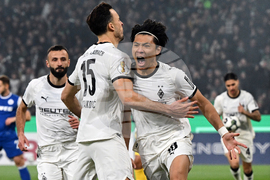 Germany Soccer German Cup