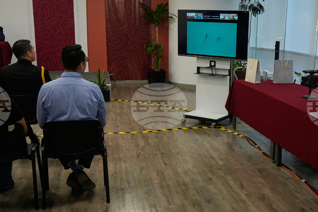 Mexico Vaquita Porpoise