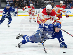 Flames Maple Leafs Hockey