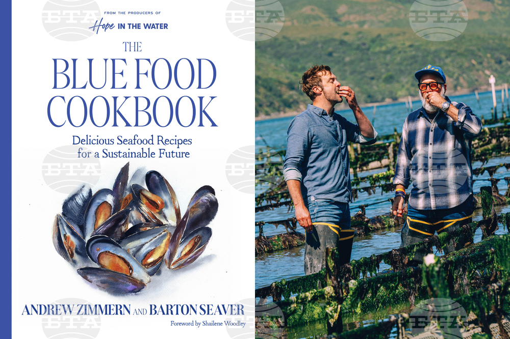 Food-Blue Food Cookbook