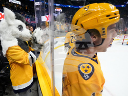 Lightning Predators Hockey