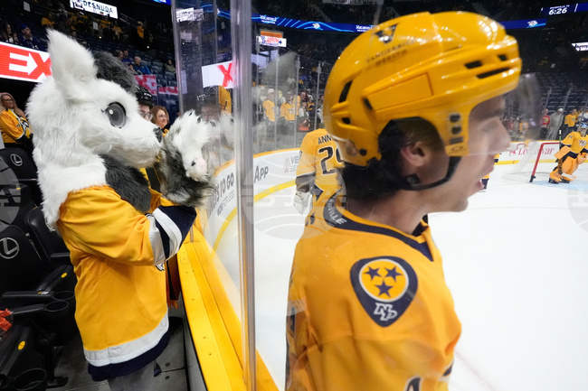 Lightning Predators Hockey