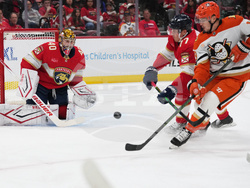 Ducks Panthers Hockey