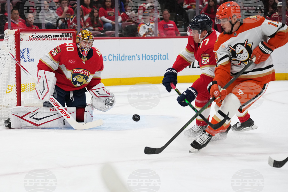 Ducks Panthers Hockey