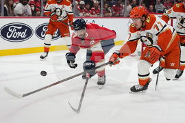 Ducks Panthers Hockey