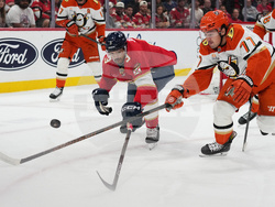 Ducks Panthers Hockey