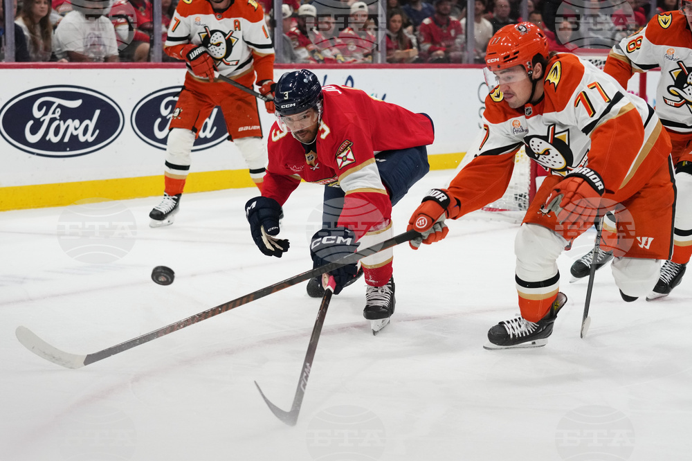 Ducks Panthers Hockey