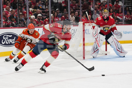 Ducks Panthers Hockey