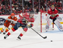 Ducks Panthers Hockey