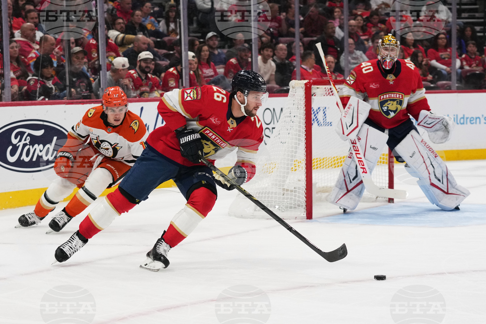 Ducks Panthers Hockey