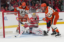 Ducks Panthers Hockey