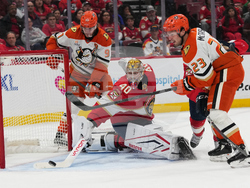 Ducks Panthers Hockey