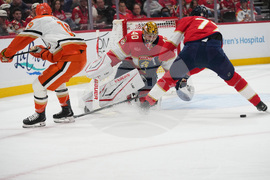 Ducks Panthers Hockey