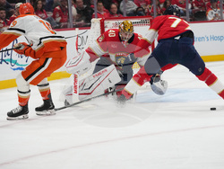 Ducks Panthers Hockey