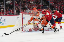 Ducks Panthers Hockey