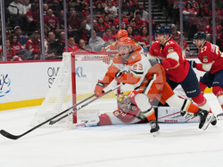 Ducks Panthers Hockey